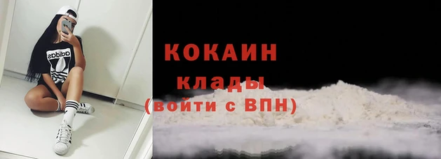 гидра Арсеньев