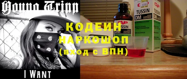 гидра Арсеньев