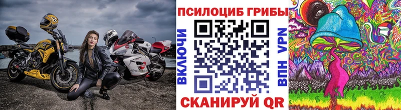 где можно купить   гидра   Псилоцибиновые грибы Magic Shrooms  Петрозаводск 