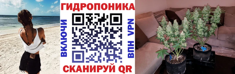 Марихуана индика  Петрозаводск 